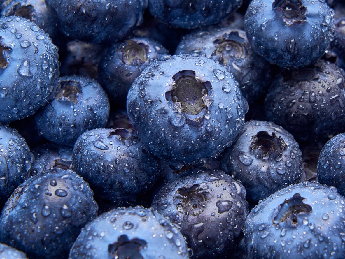 North Bay Produce Blueberries