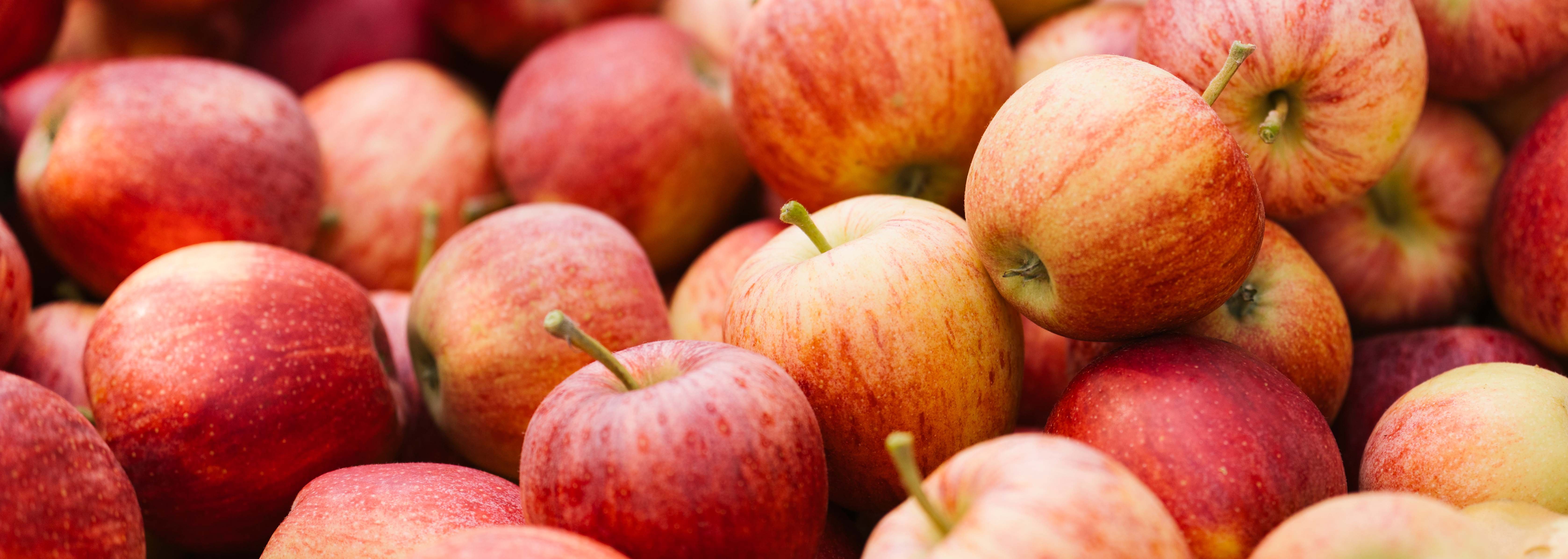 North Bay Produce - Apples