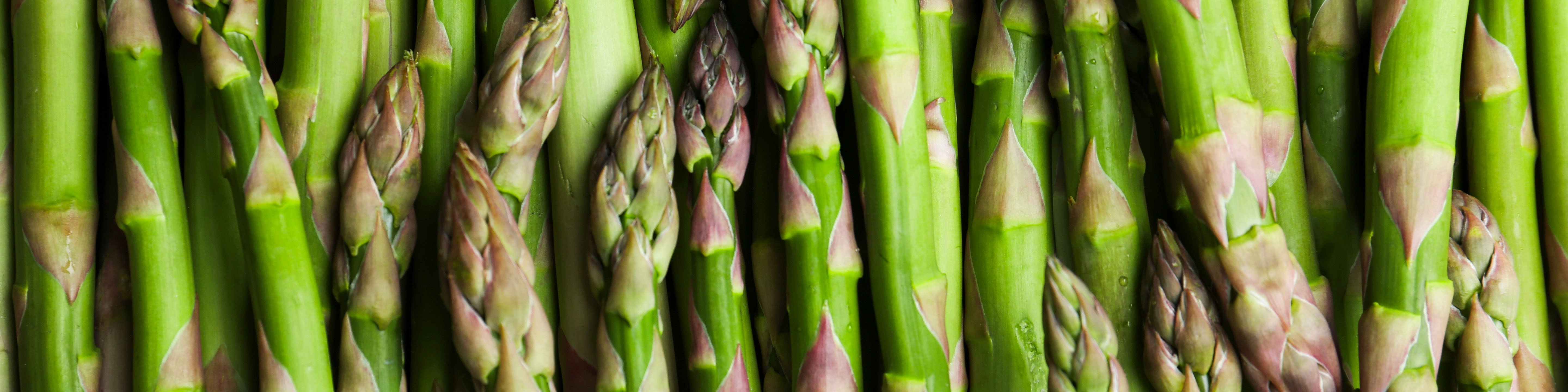 North Bay Produce - Asparagus