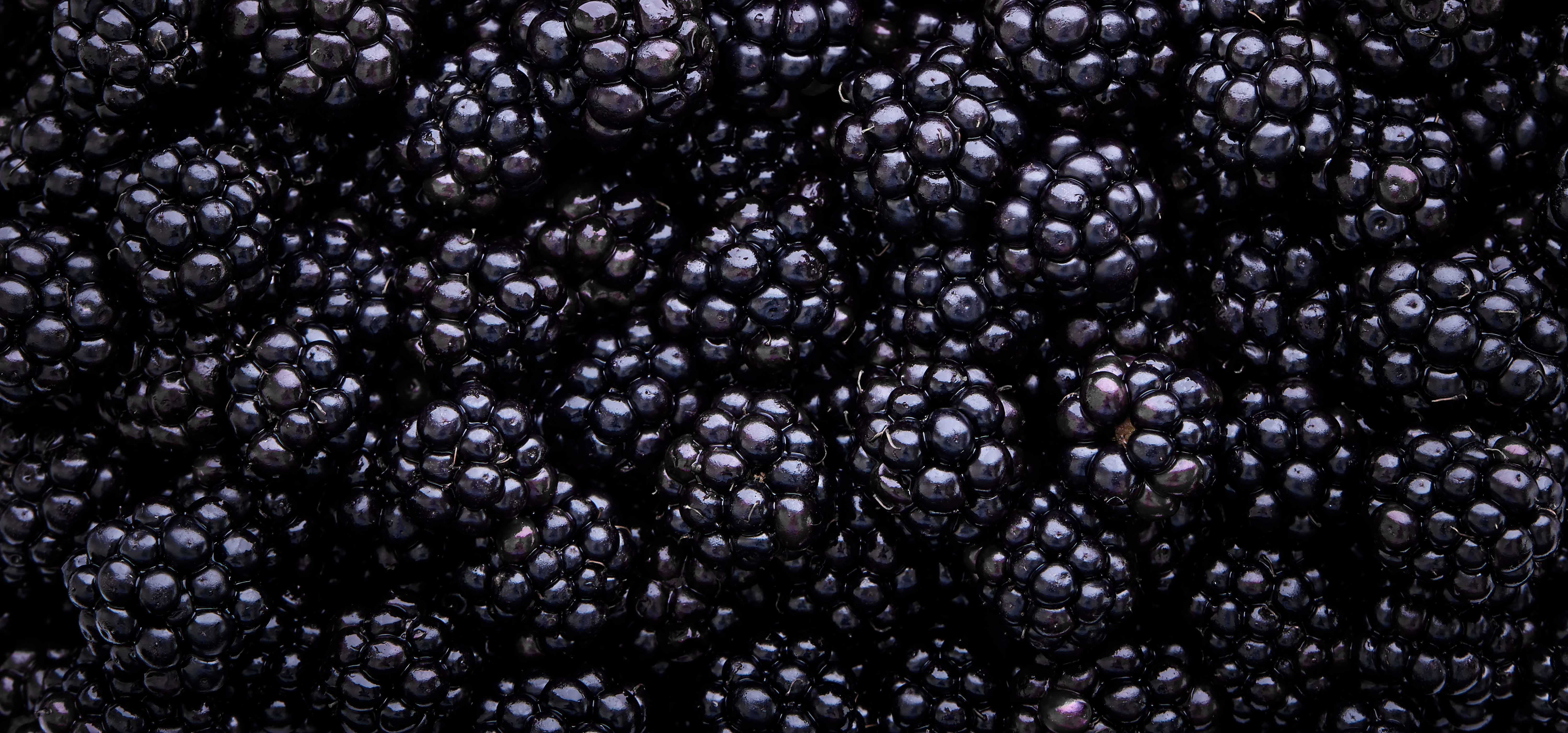 North Bay Produce - Blackberries