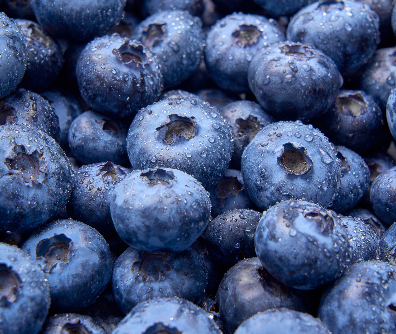 North Bay Produce - Blueberries