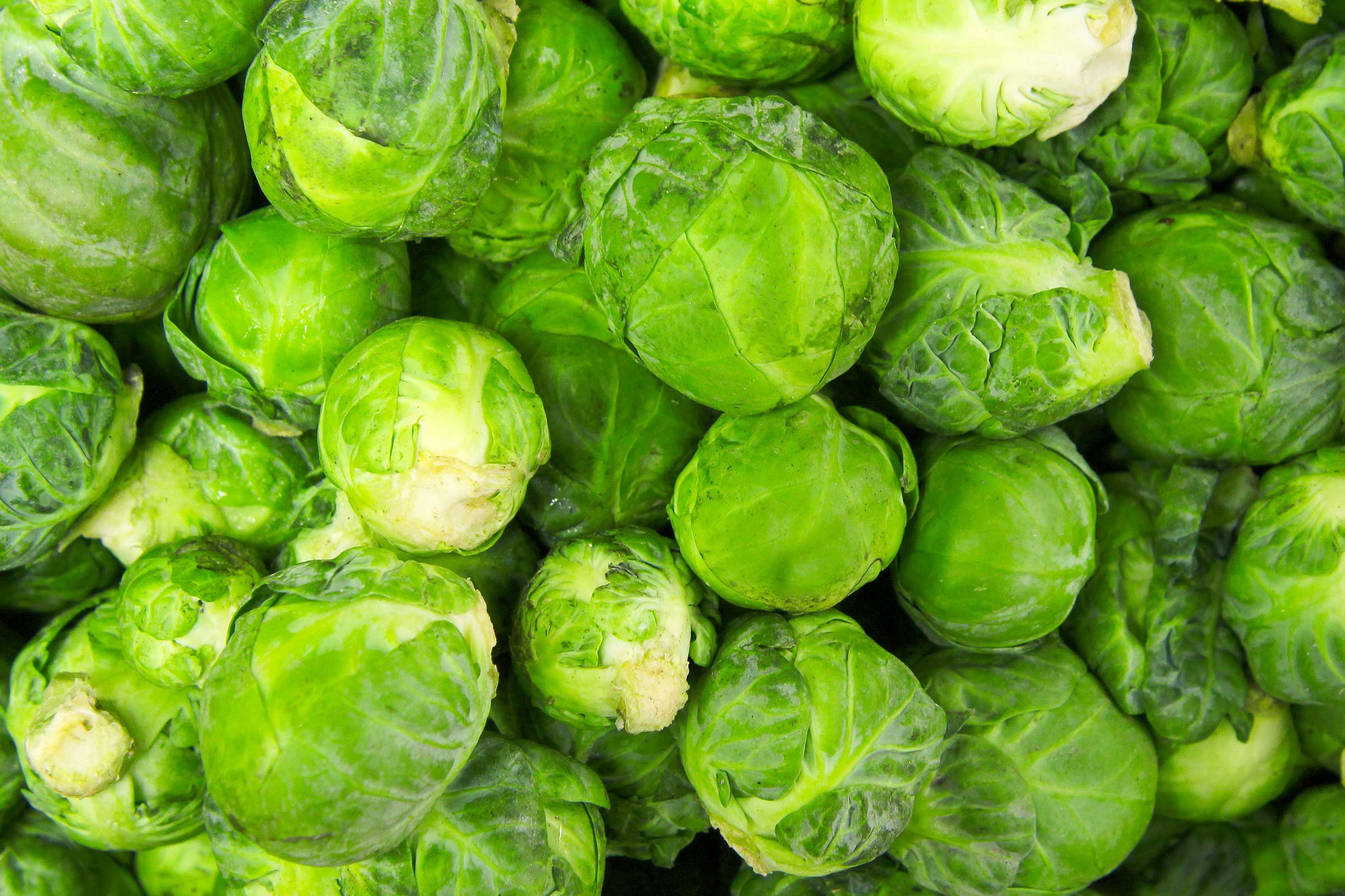 North Bay Produce - Brussels Sprouts