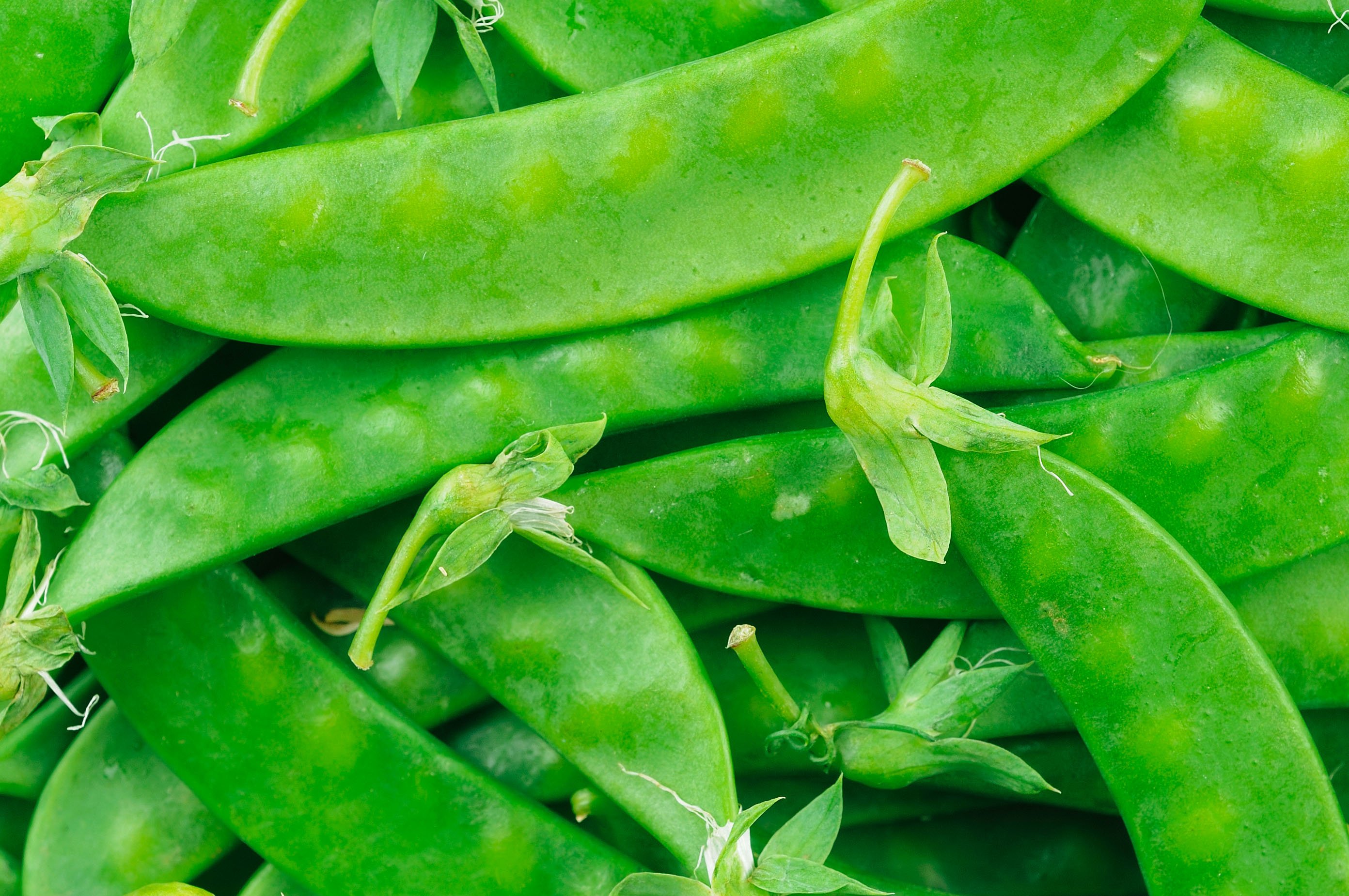 North Bay Produce - Snow Peas