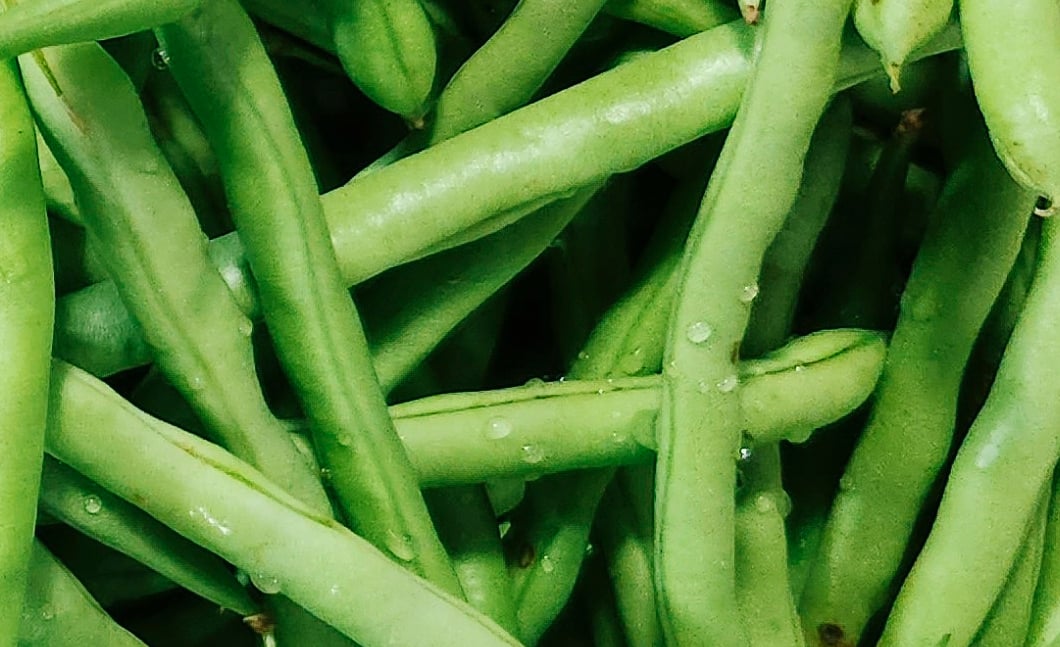 North Bay Produce - French Beans