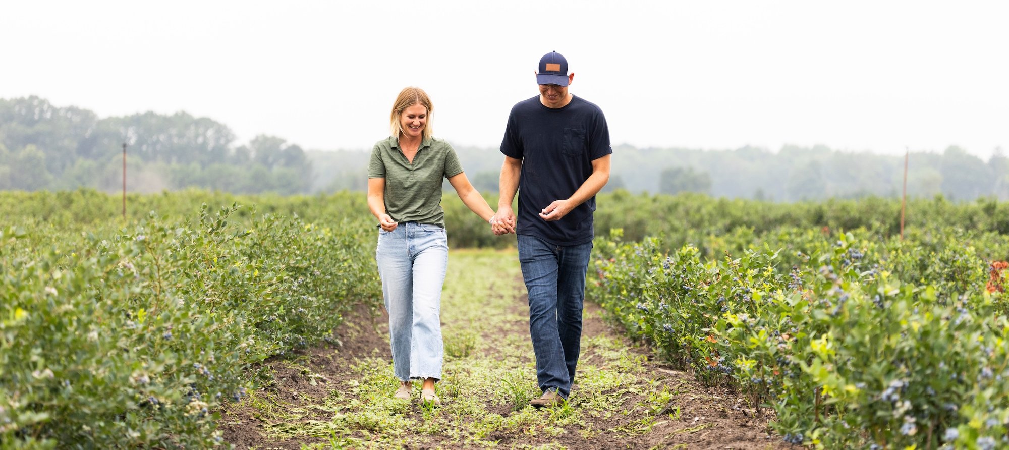 North Bay Produce Blueberry Farmers