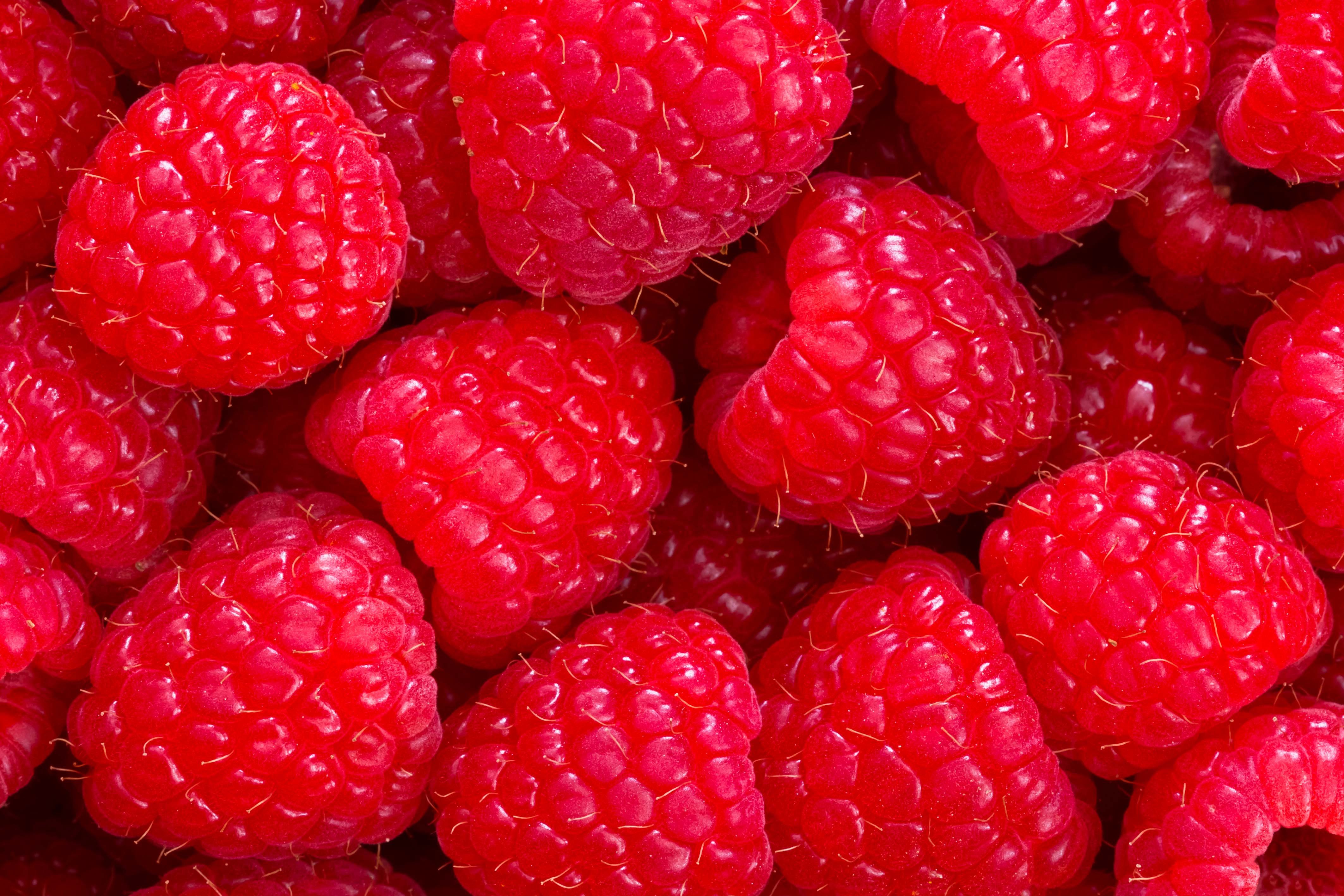 North Bay Produce - Raspberries
