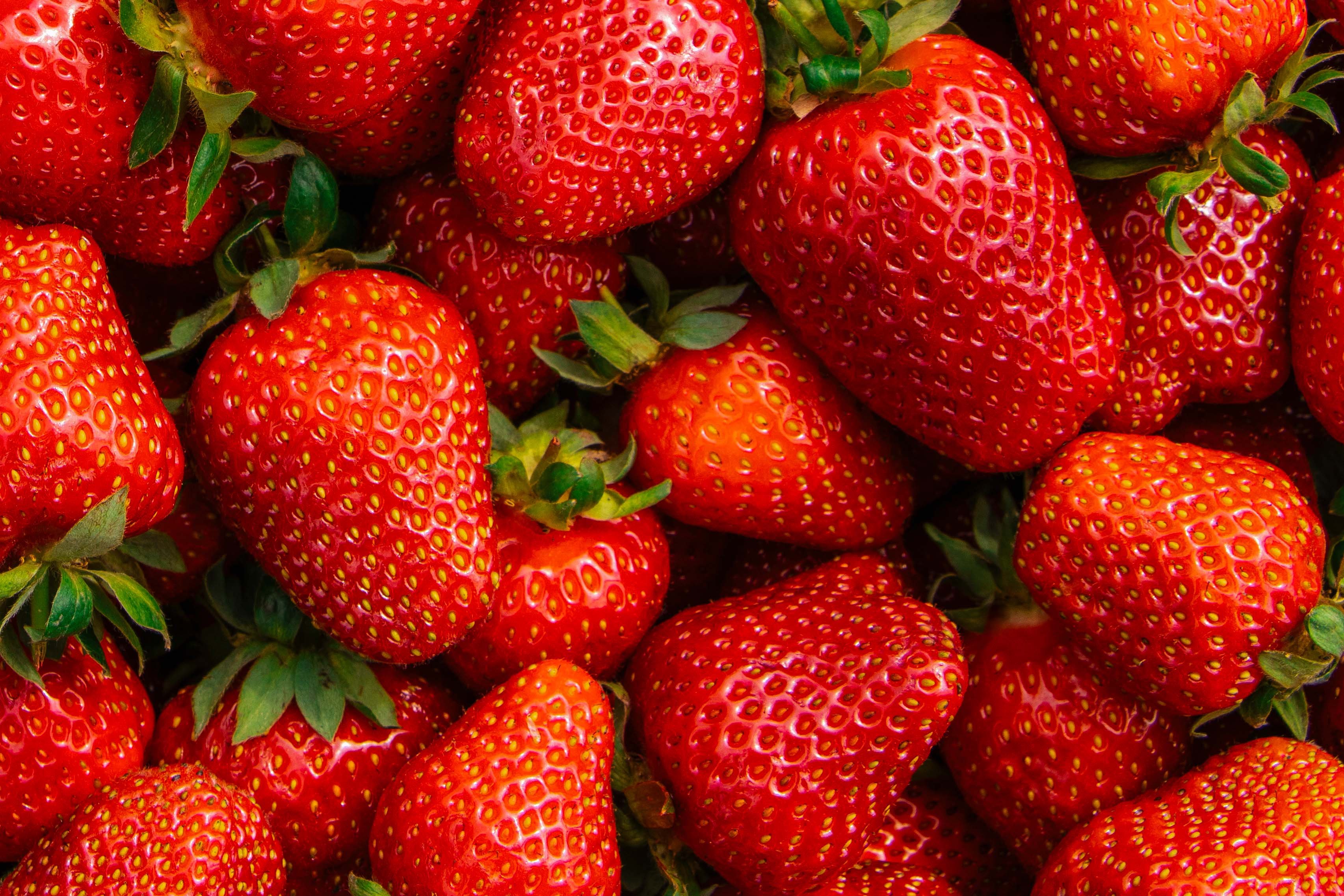 North Bay Produce - Strawberries