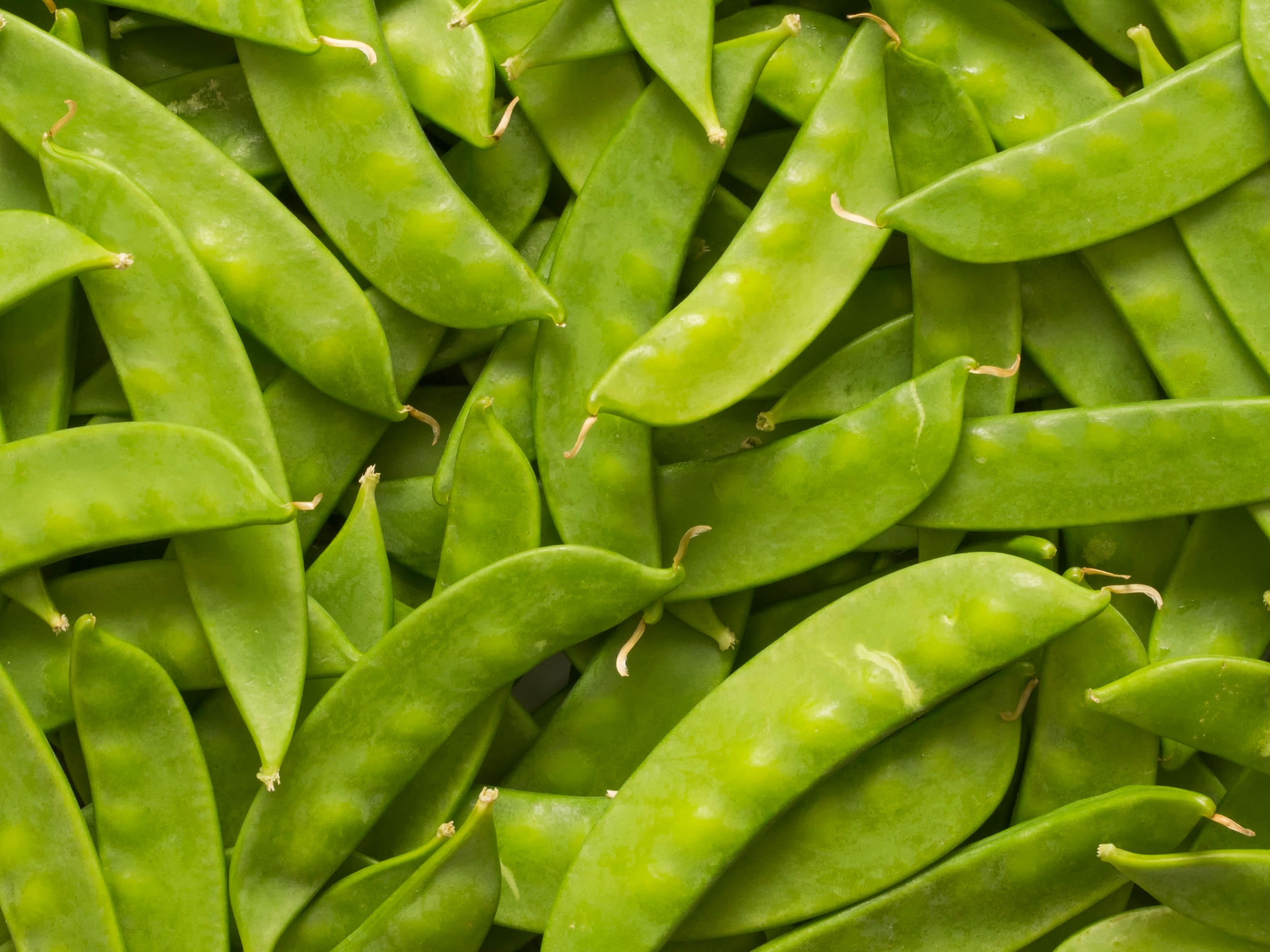 North Bay Produce - Sugar Snap Peas