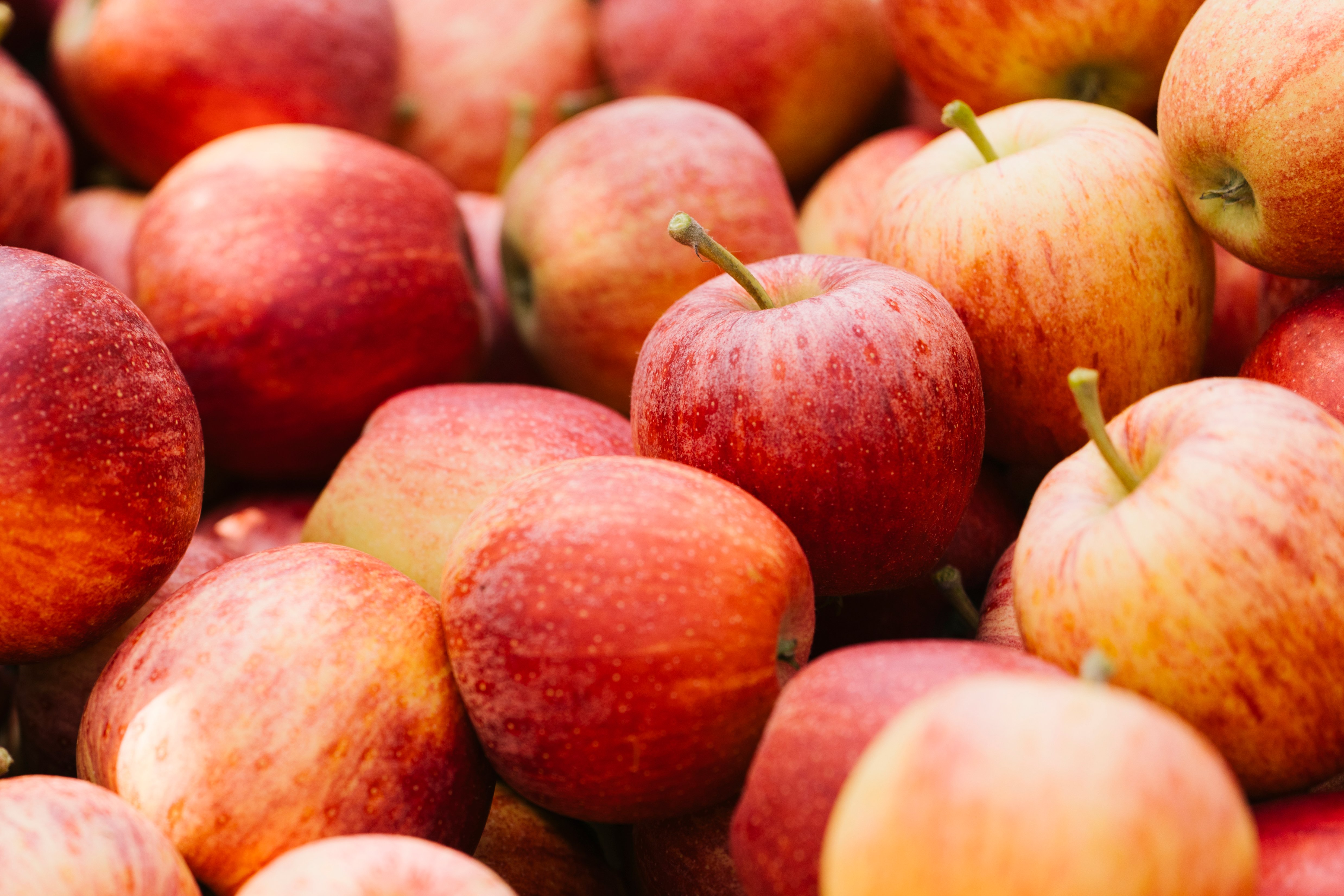 North Bay Produce Apples