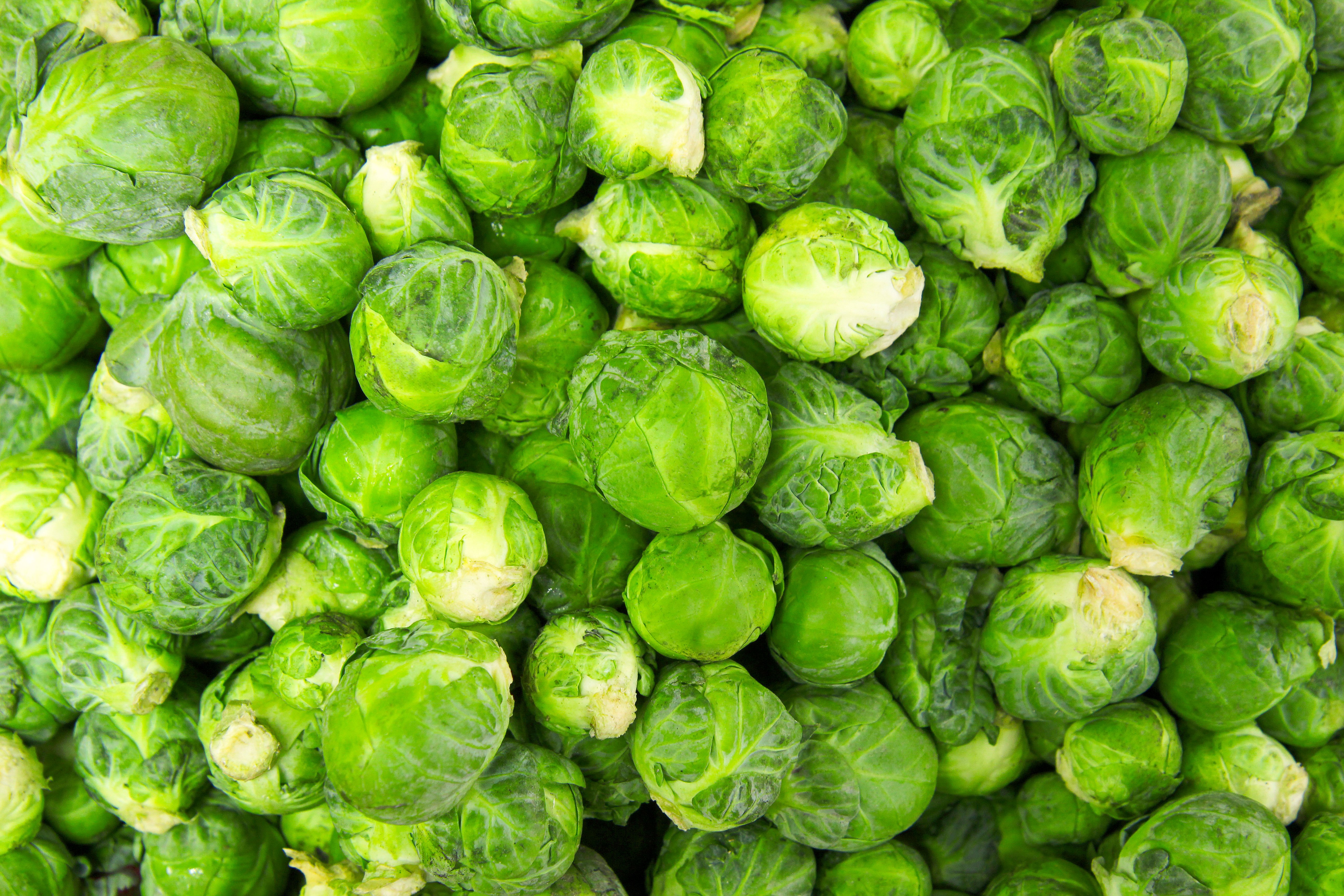 North Bay Produce Brussels Sprouts