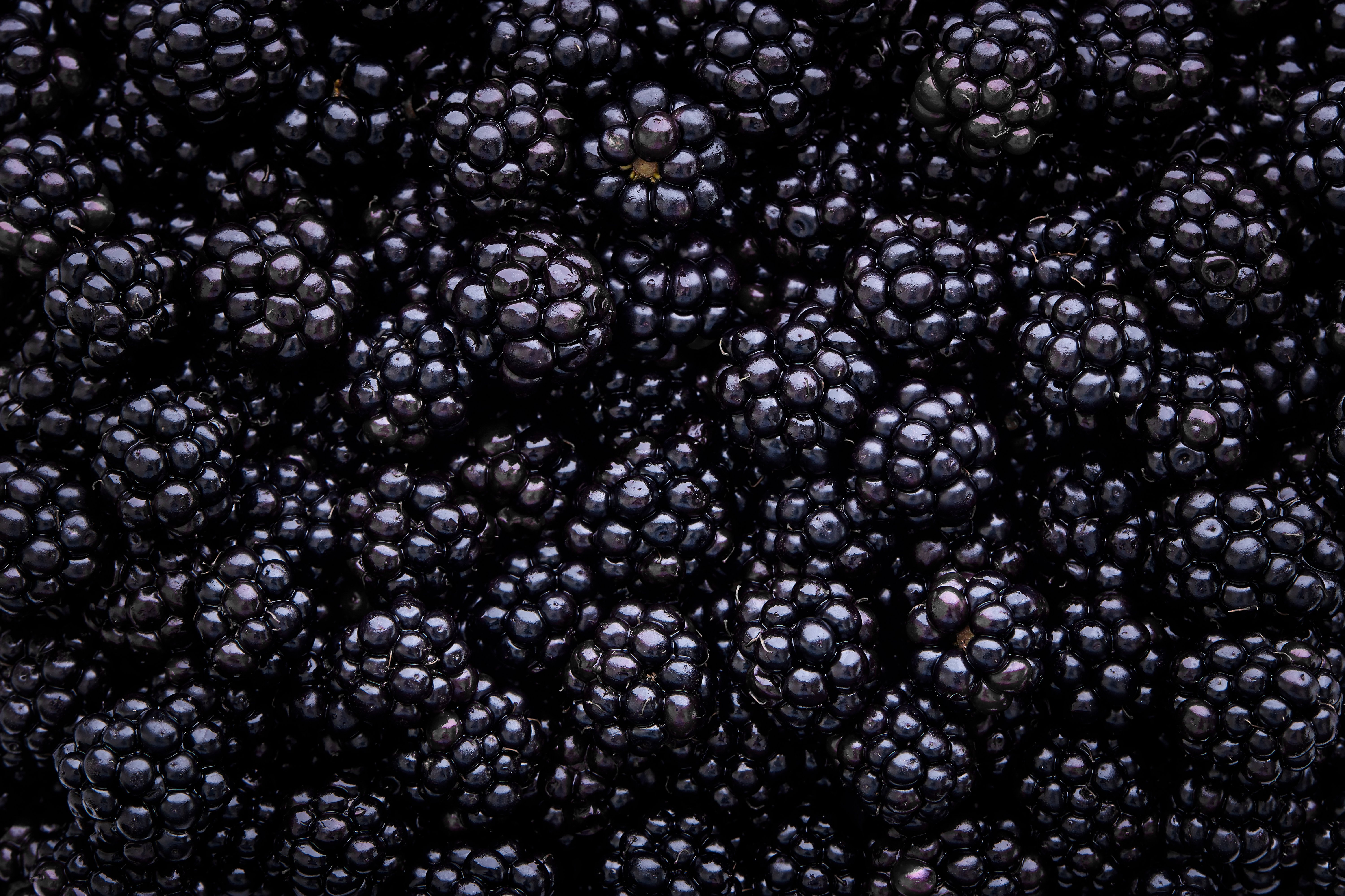 North Bay Produce Blackberries