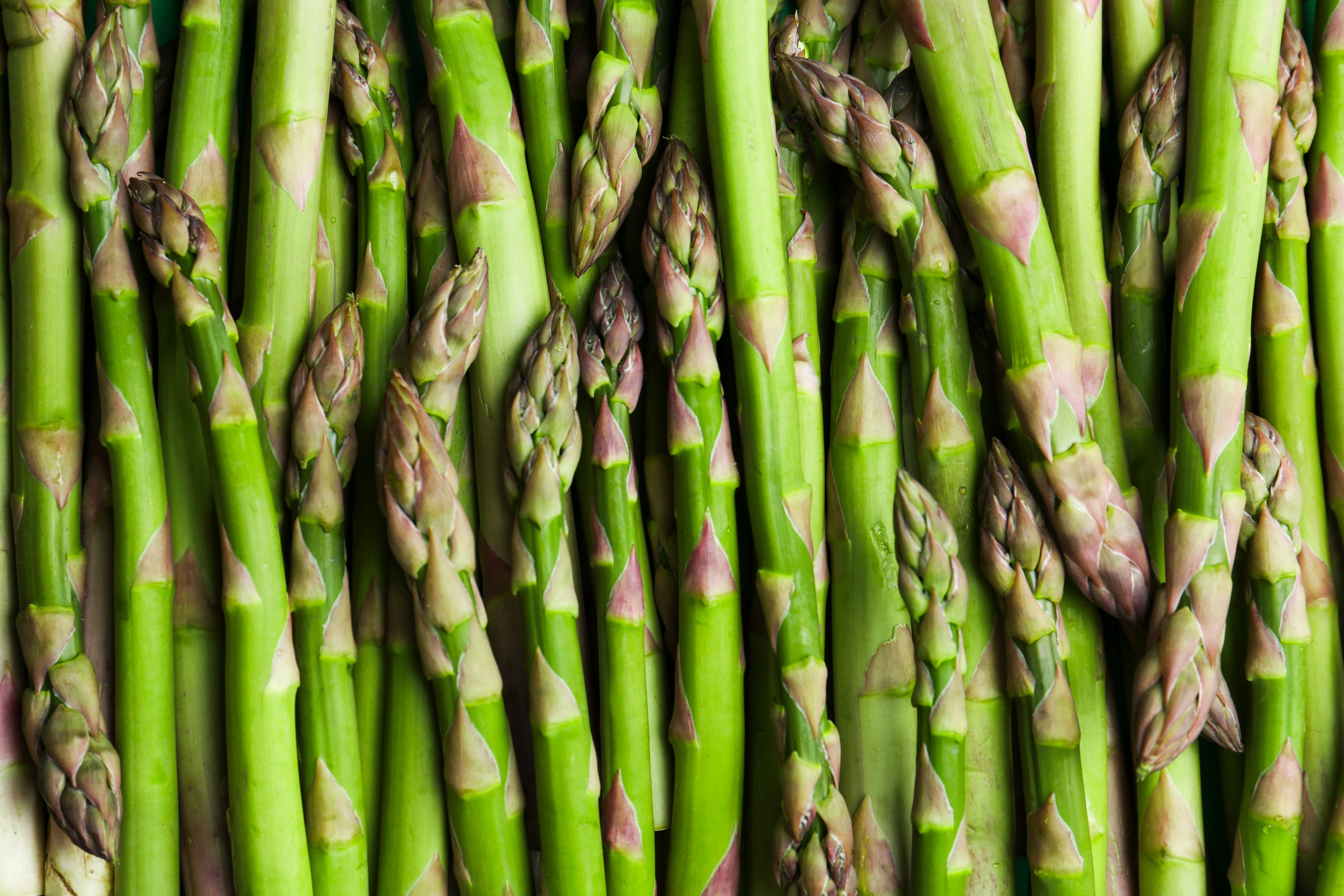 North Bay Produce Asparagus