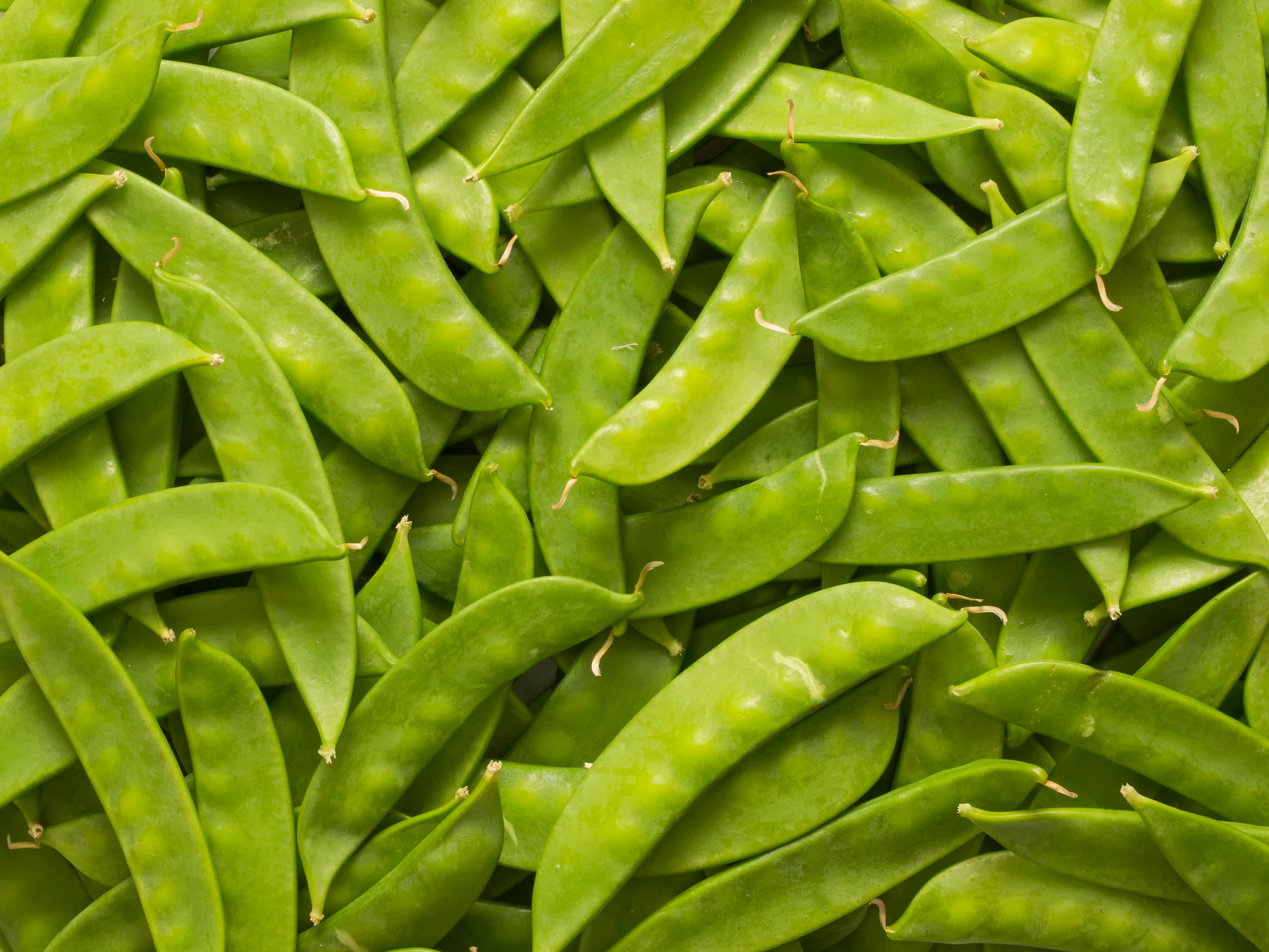 North Bay Produce Sugar Snap Peas