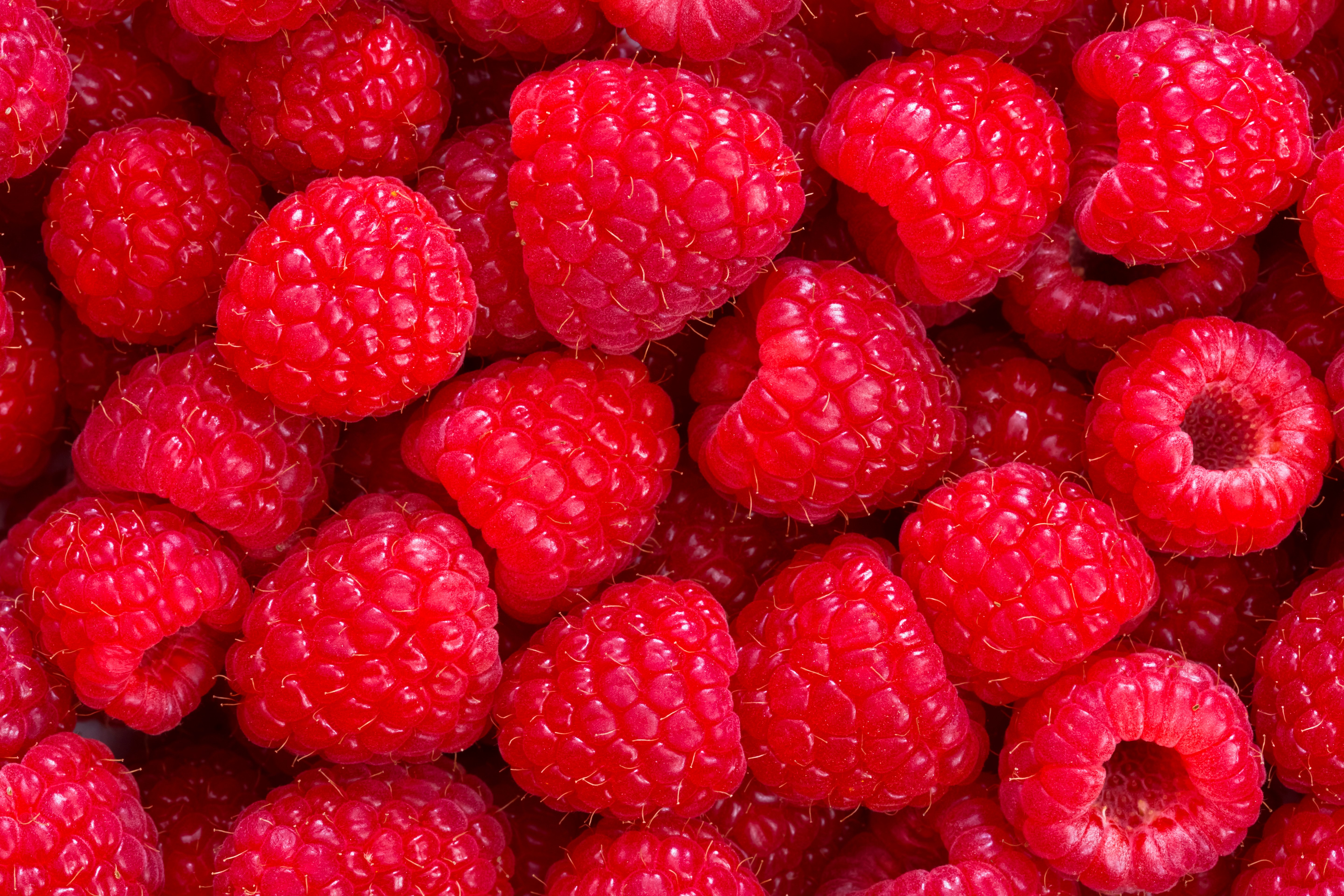 North Bay Produce Raspberries