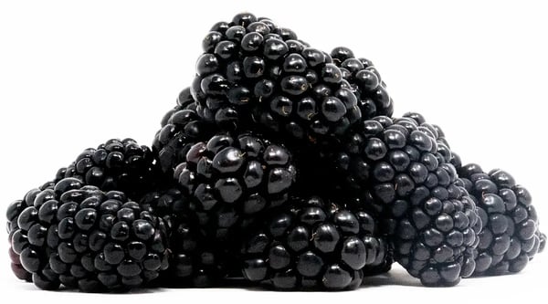 blackberries