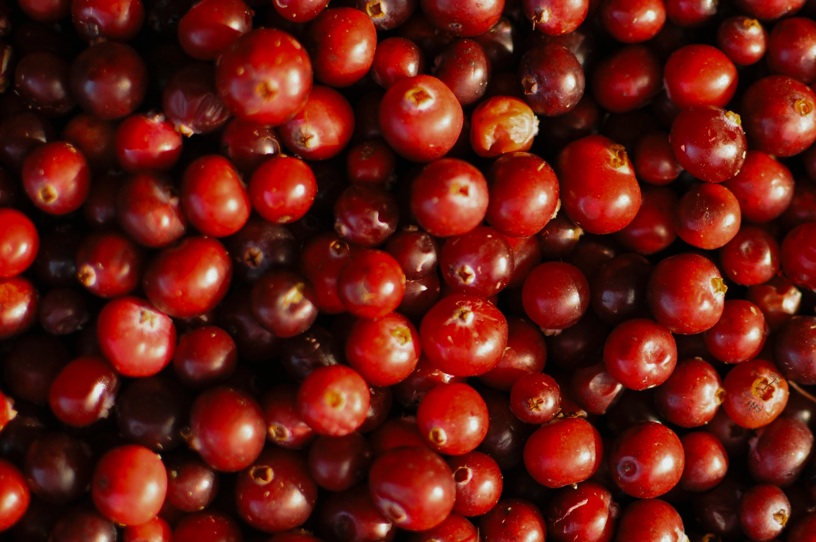 North Bay Produce Cranberries