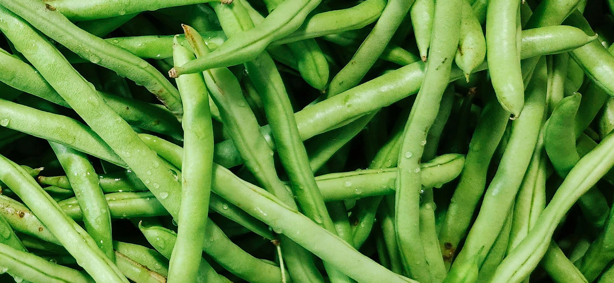 North Bay Produce French Beans