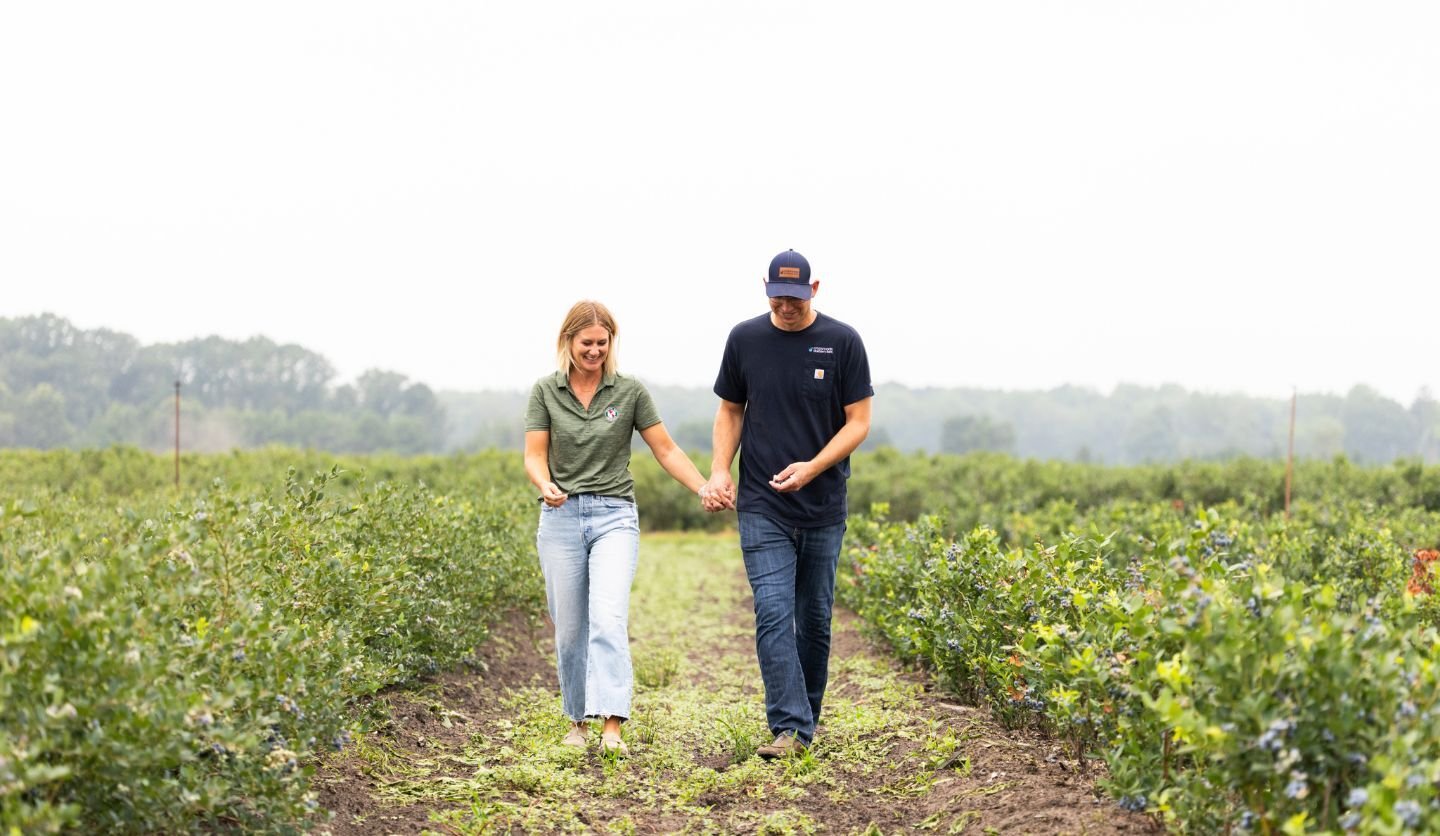A man and a woman are smiling and holding hands while walking down a dirt path in a blueberry field. They are walking towards the camera, surrounded by rows of green blueberry bushes under an overcast sky.