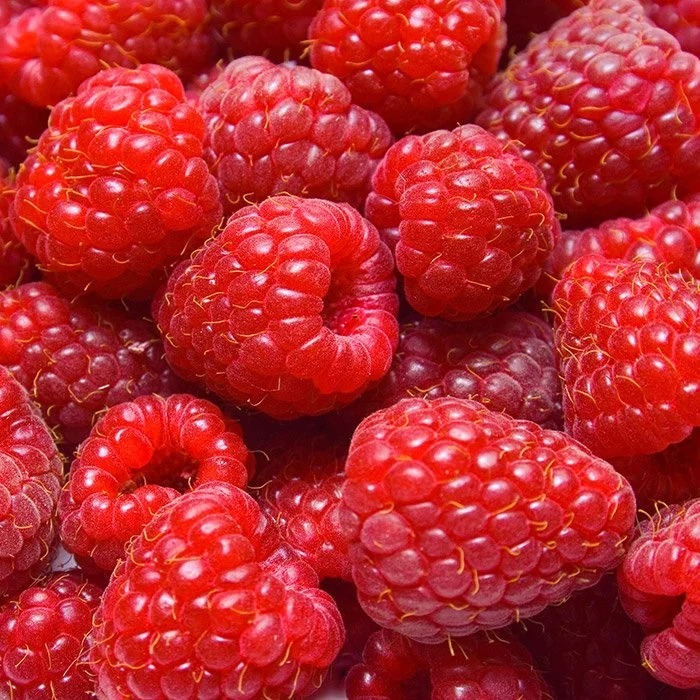 Bahama Raspberry Raspberries | North Bay Produce